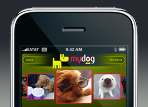 MyDog app.